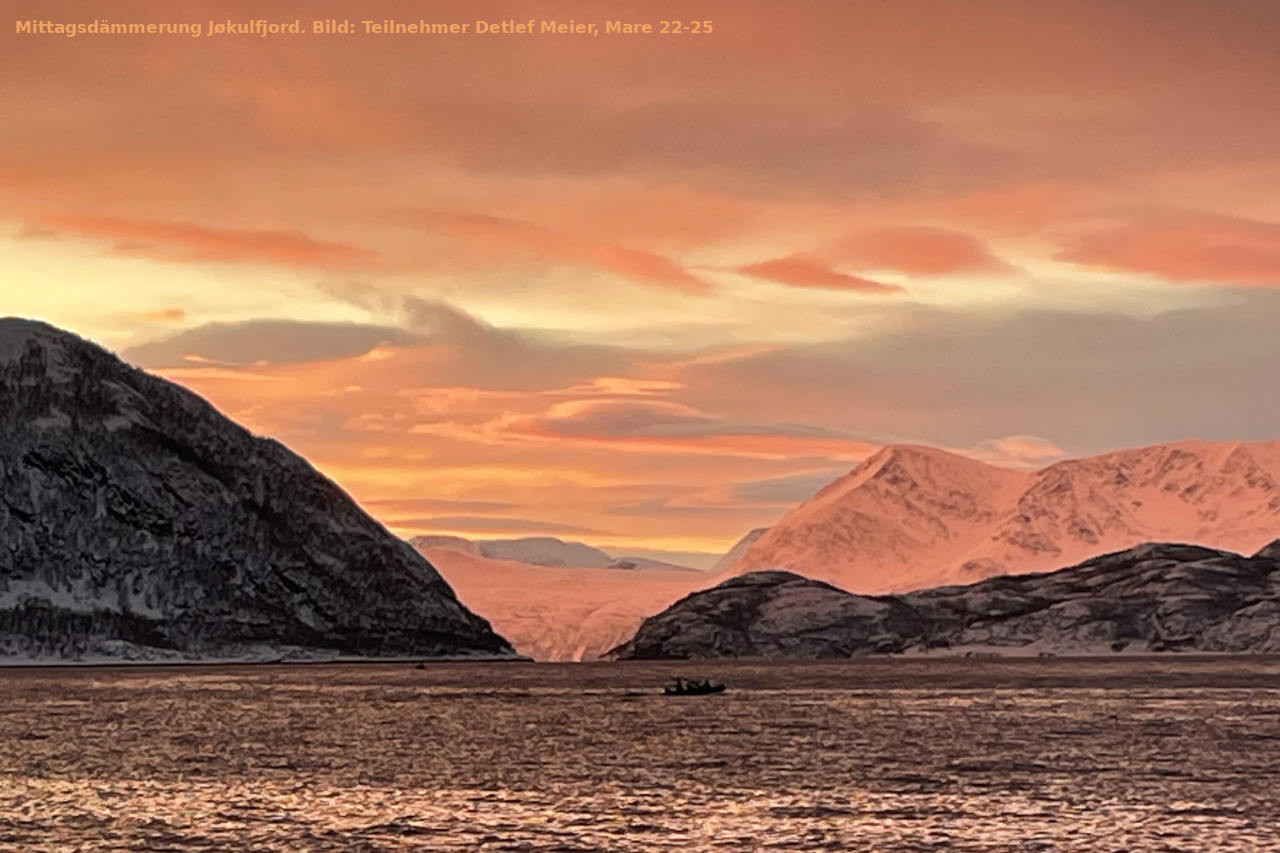 Notizen aus hohen Breiten | CAPE RACE Nordnorwegen-Reise MARE 22-25 durch die Linsen von 6 Teilnehmern - Leguan Reisen