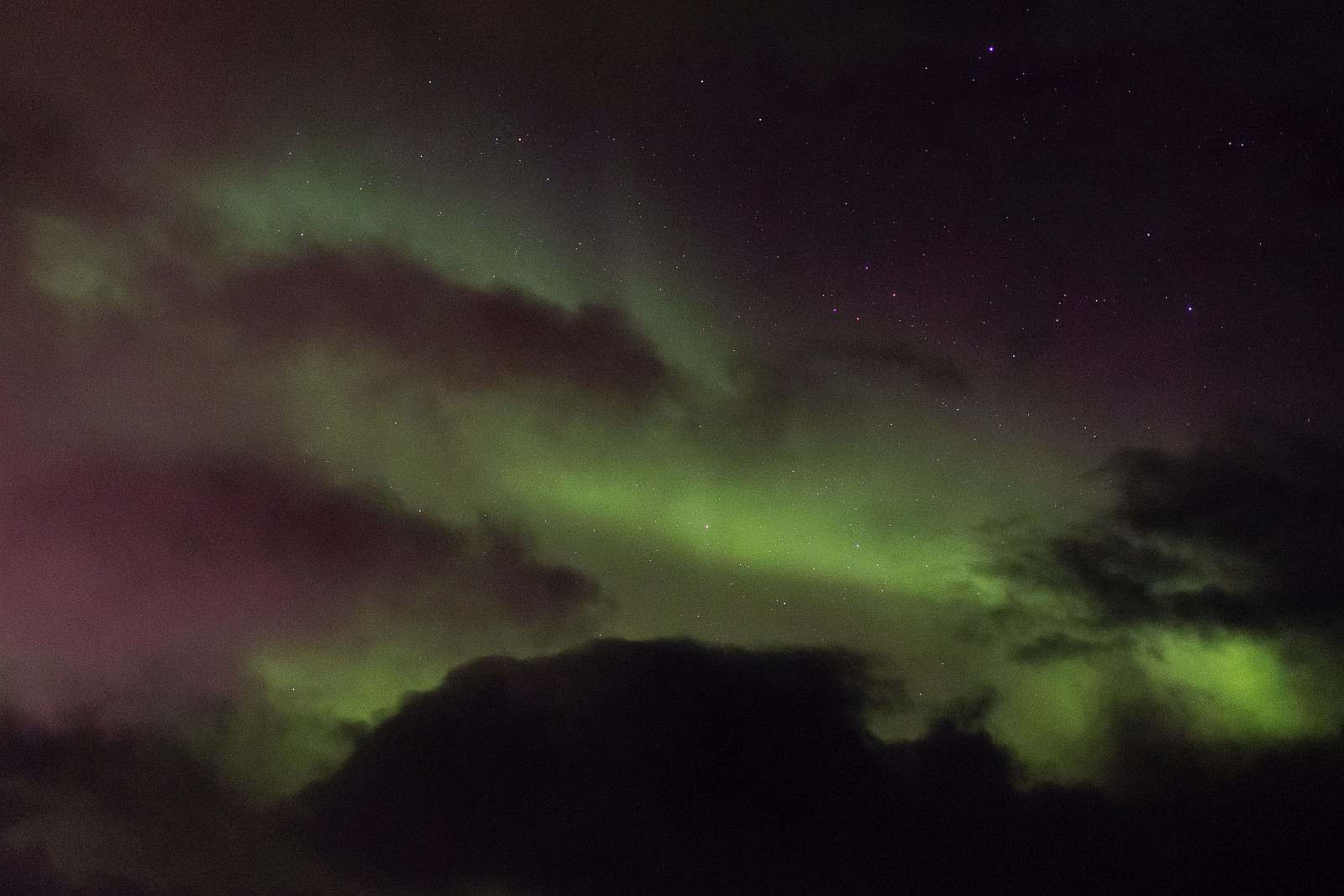 Notizen aus dem Eis 129 | Das Nordlicht im Süden - Leguan Reisen