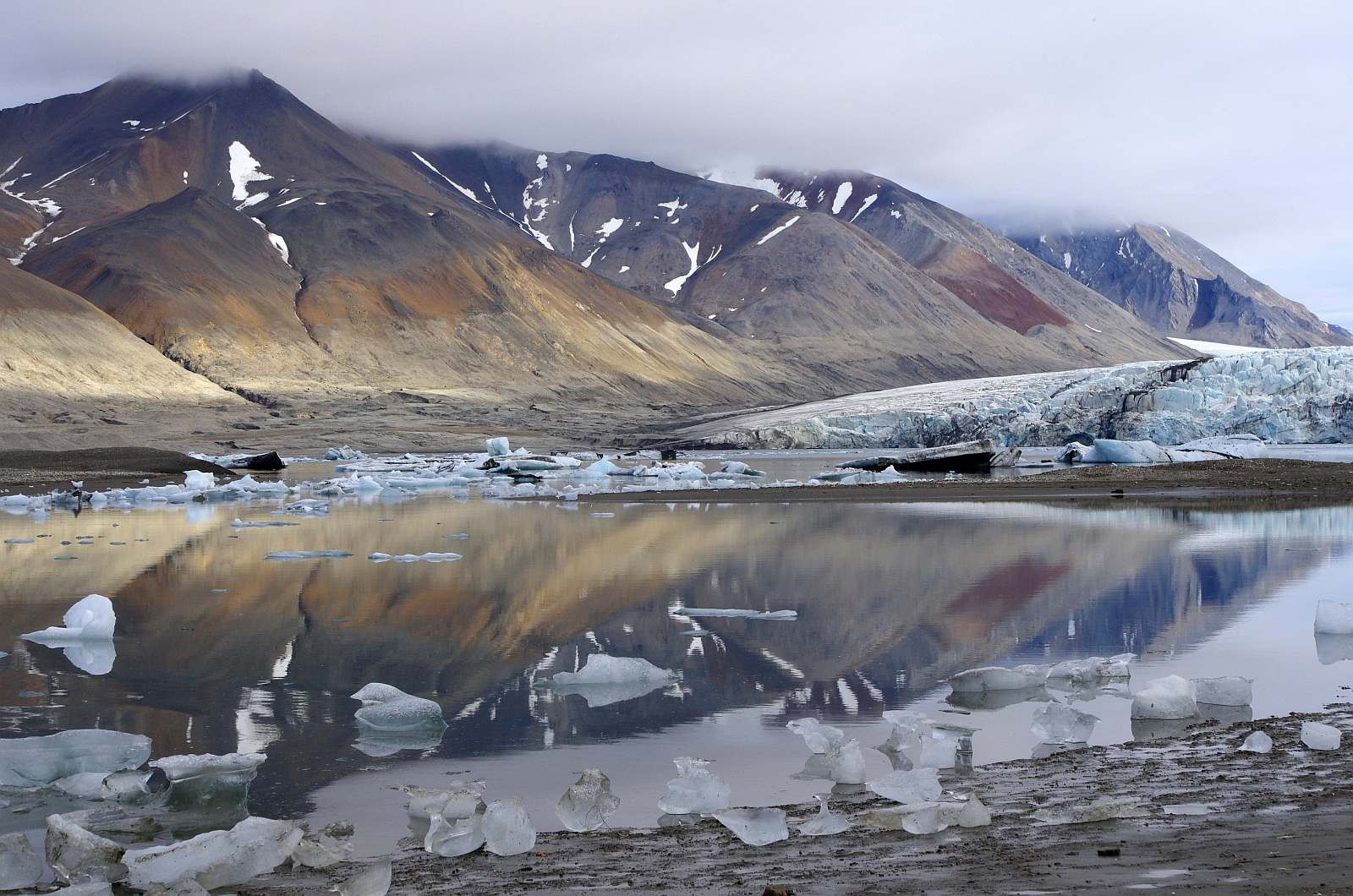 Notizen aus dem Eis 135 | Die Diamanten des Recherchebreen - Leguan Reisen
