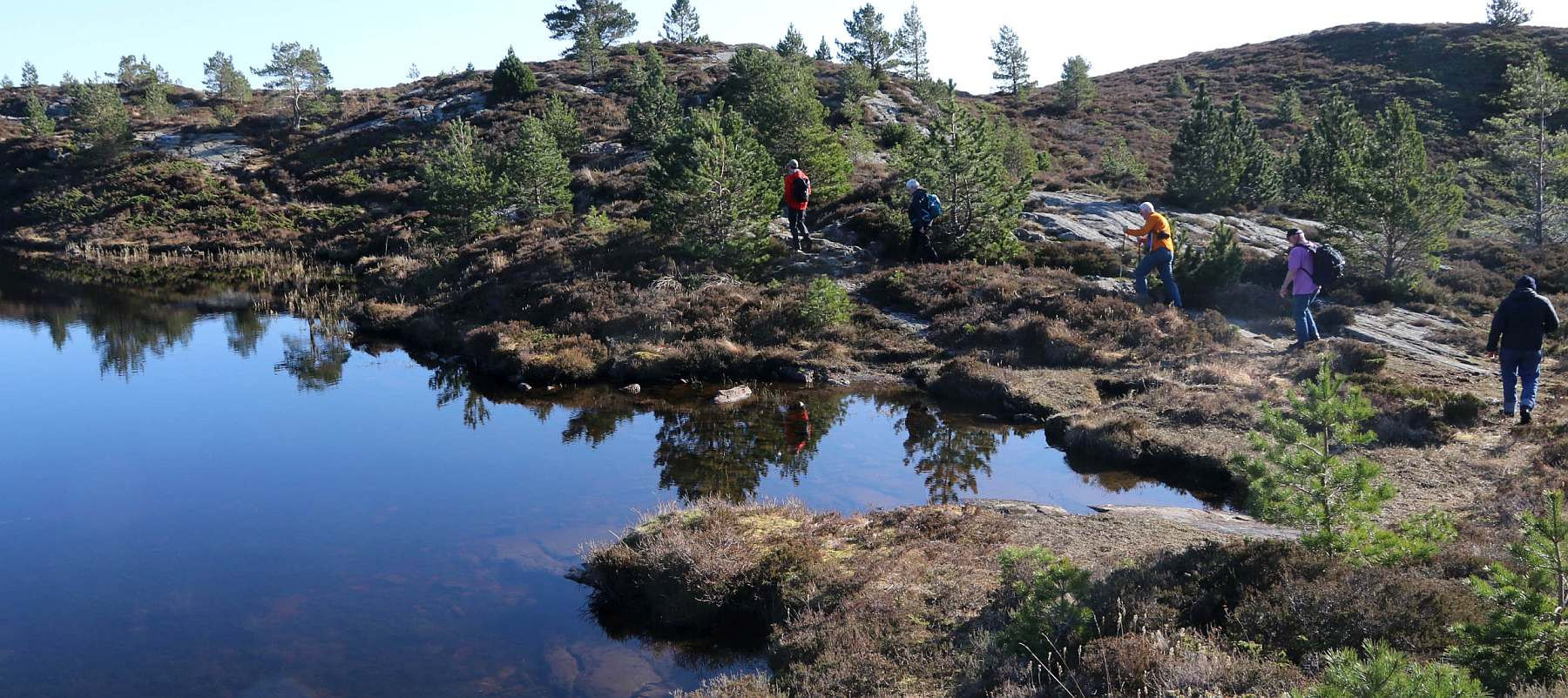 Norwegenfahrt der CAPE RACE von Hamburg nach Bodø – Teil 1 - Leguan Reisen