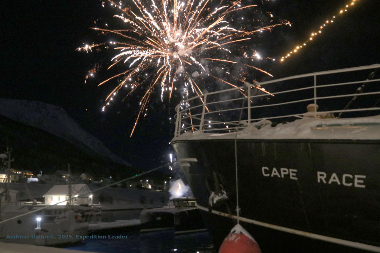 Notizen aus hohen Breiten | Weihnachten oder Silvester mit der CAPE RACE, 2025 - Leguan Reisen