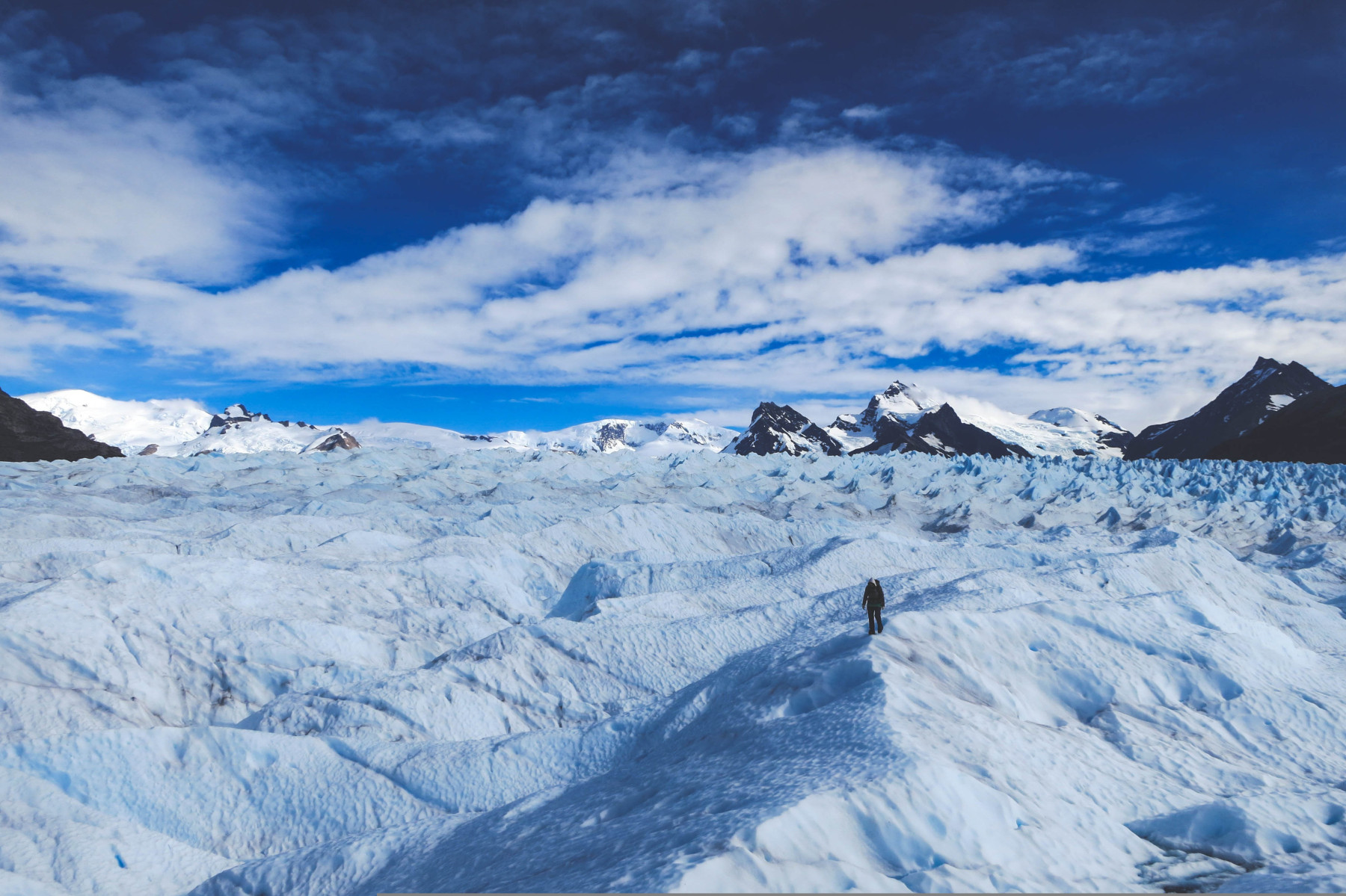 Vom Kontinent des Kolibris 93 –  – Patagonien: eine Region der Superlative - Leguan Reisen