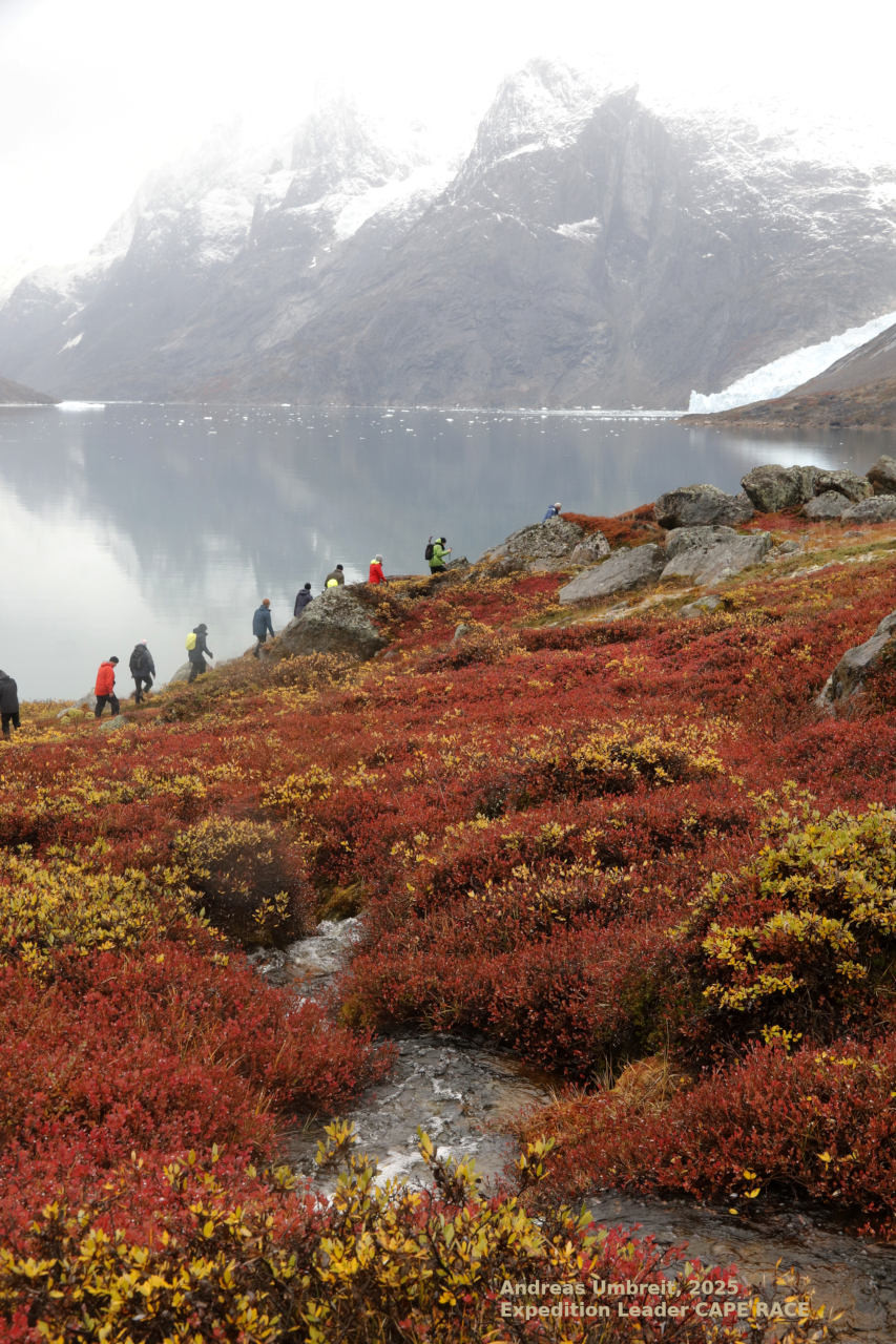 Notizen aus hohen Breiten: unbekannte tolle besuchte Plätze auf der letzten Ostgrönlandtour 2025 - Leguan Reisen