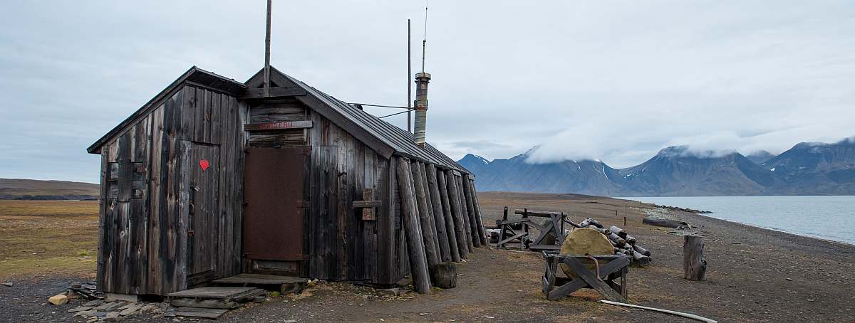OTL-Around Spitsbergen, Kvitoya, August © Zoutfotografie-Oceanwide Expeditions (328).JPG_Zout Fotografie-small