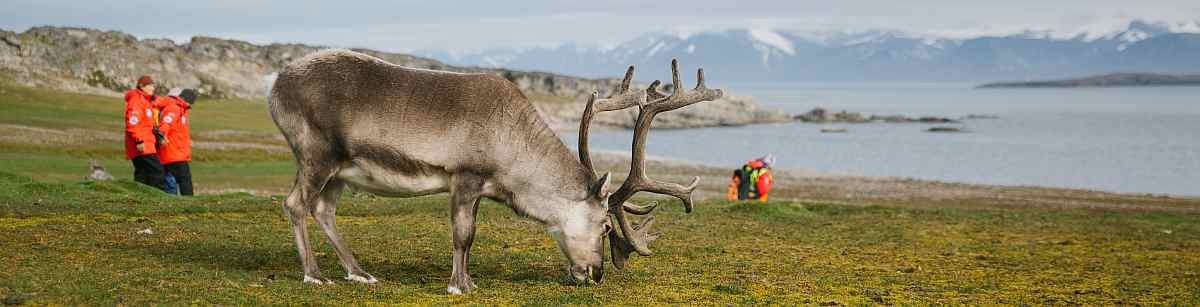 spitzbergen_poseidon_©-John-Bozinov-41_small