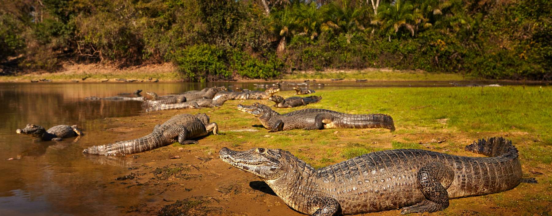 Brasilien-shutterstock_2120513246-slider