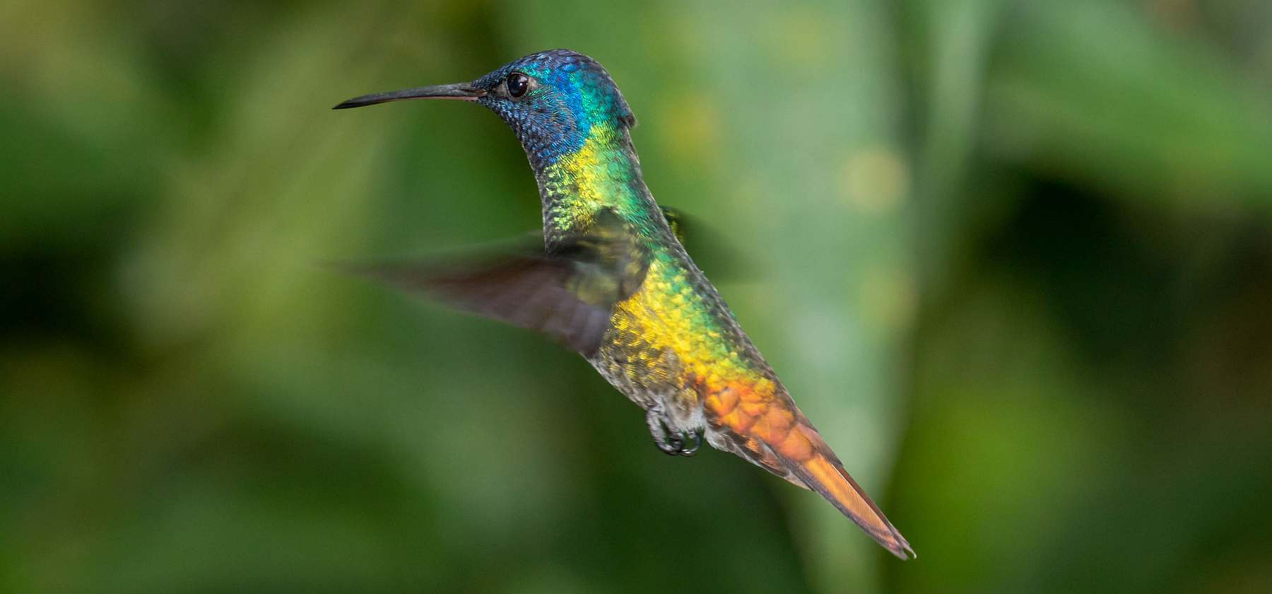 Ecuador-shutterstock_1212200908-slider