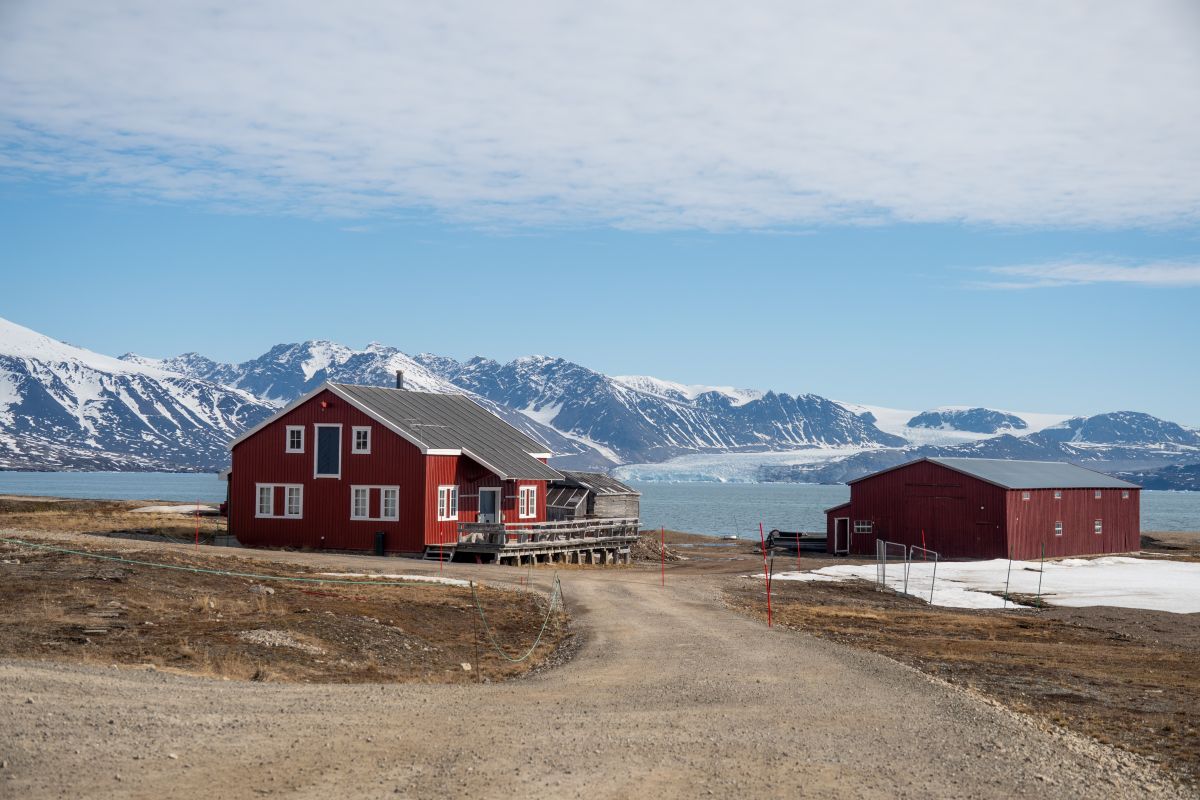 Nordwest Spitzbergen | HONDIUS - Leguan Reisen