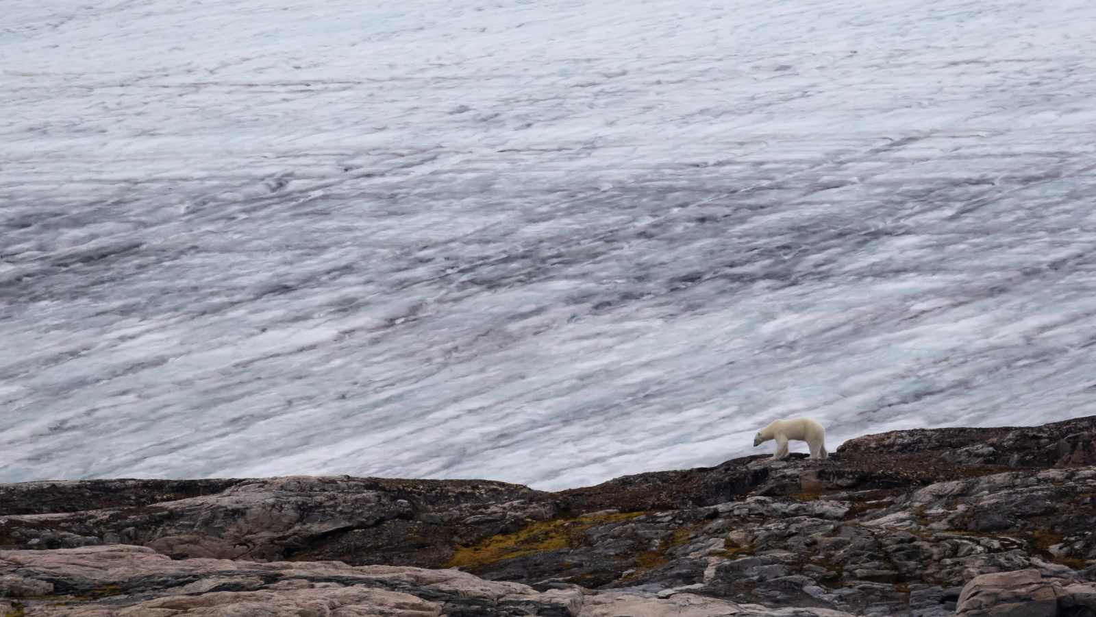 STOCKHOLM | Expedition Spitzbergen - Leguan Reisen
