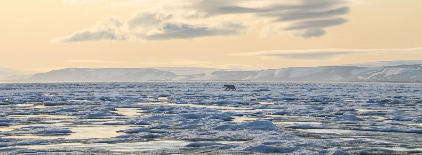 MS SJØVEIEN | Arktische Wildnis, kleine Crew, großes Erlebnis - Leguan Reisen