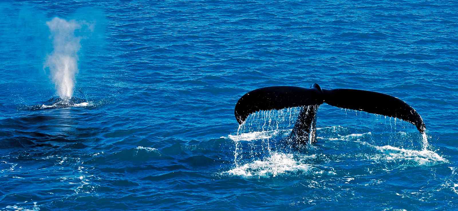 SJOVEIEN_Expedition_Copyright_Mattias Henningsson (10) - Kopia_reiseverlauf3