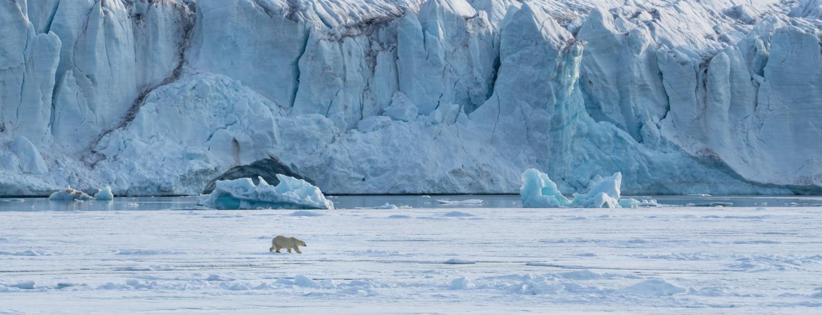 MS SJØVEIEN | Spitzbergen im Zauber des Eises - Leguan Reisen