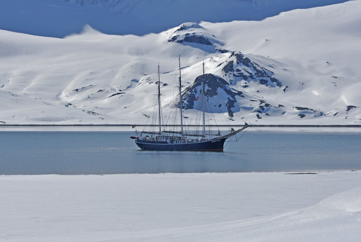 SV REMBRANDT VAN RIJN | Nord-Spitzbergen - Arktischer Sommer - Leguan Reisen