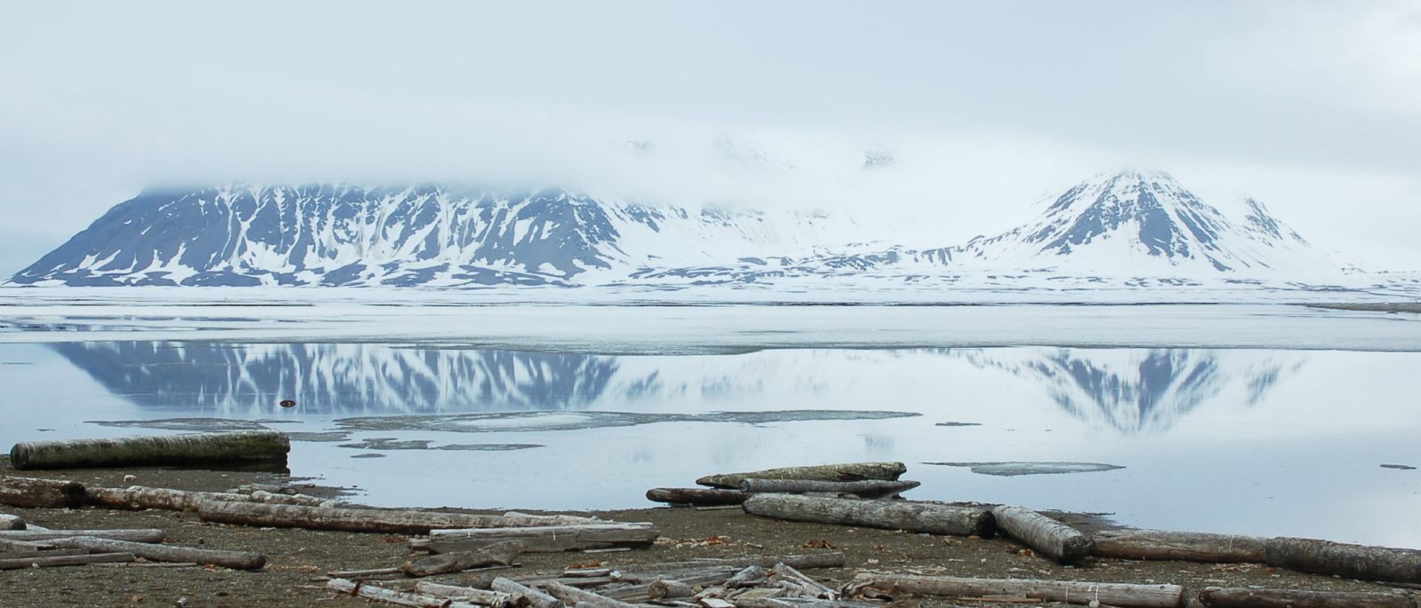 SV REMBRANDT VAN RIJN | Nord-Spitzbergen - Arktischer Sommer - Leguan Reisen