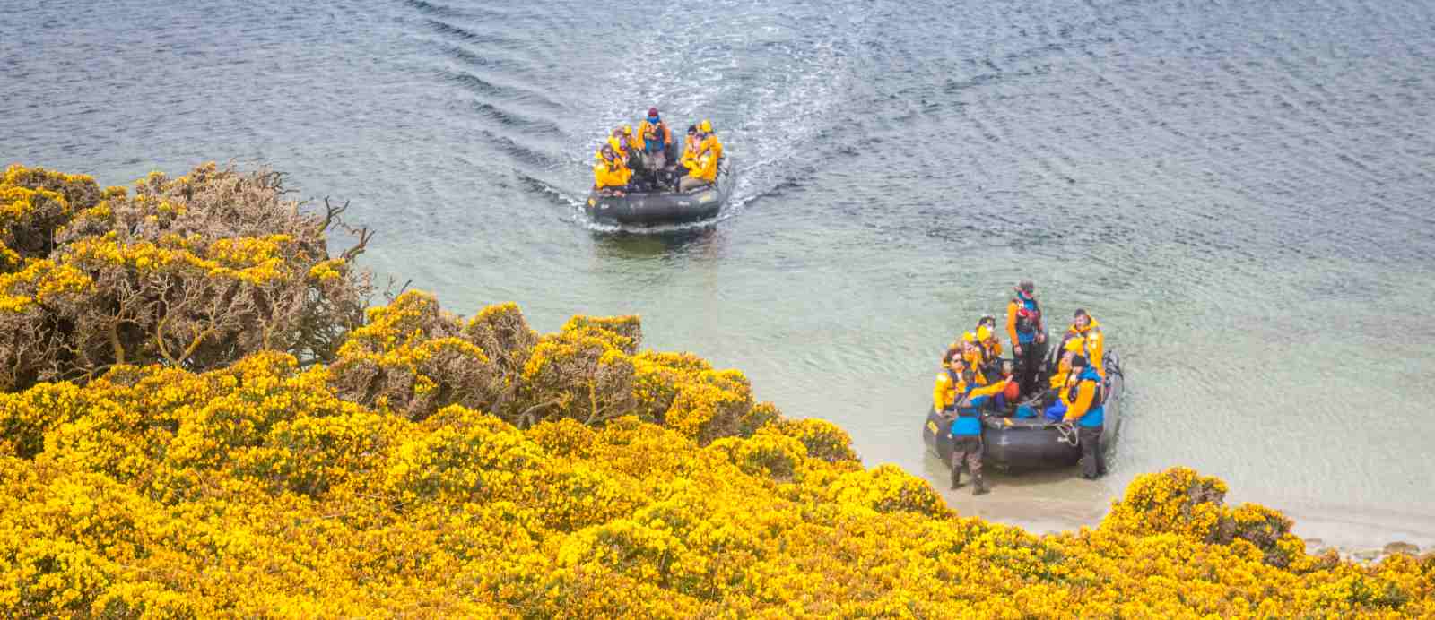 ULT_Epic_Zodiac_landing_WestPoint_Island_FalklandIsland_AcaciaJohnson_1_reiseverlauf5