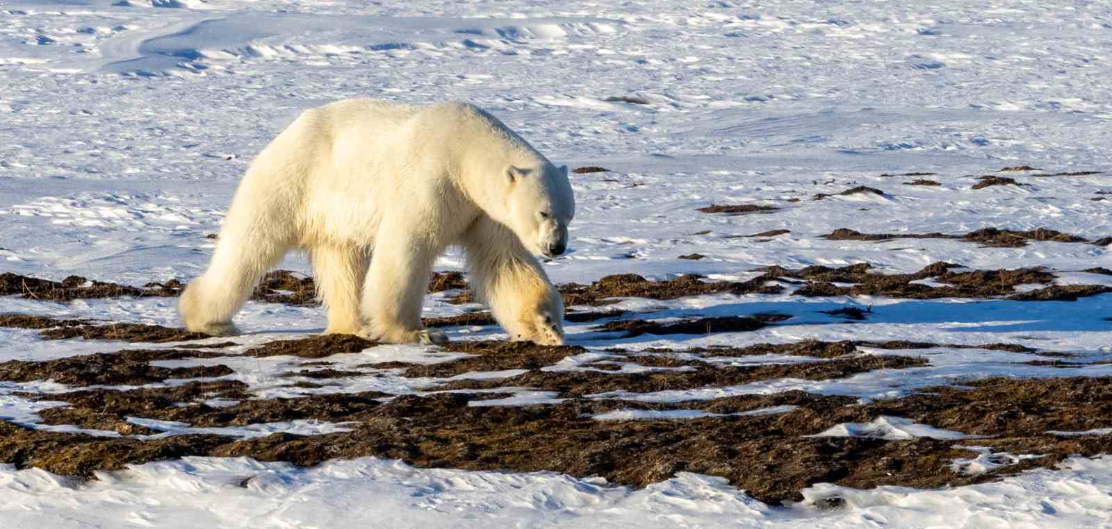 EXP-Rolf-Stange-250507d_Kapp-Wijk_33_reiseverlauf3