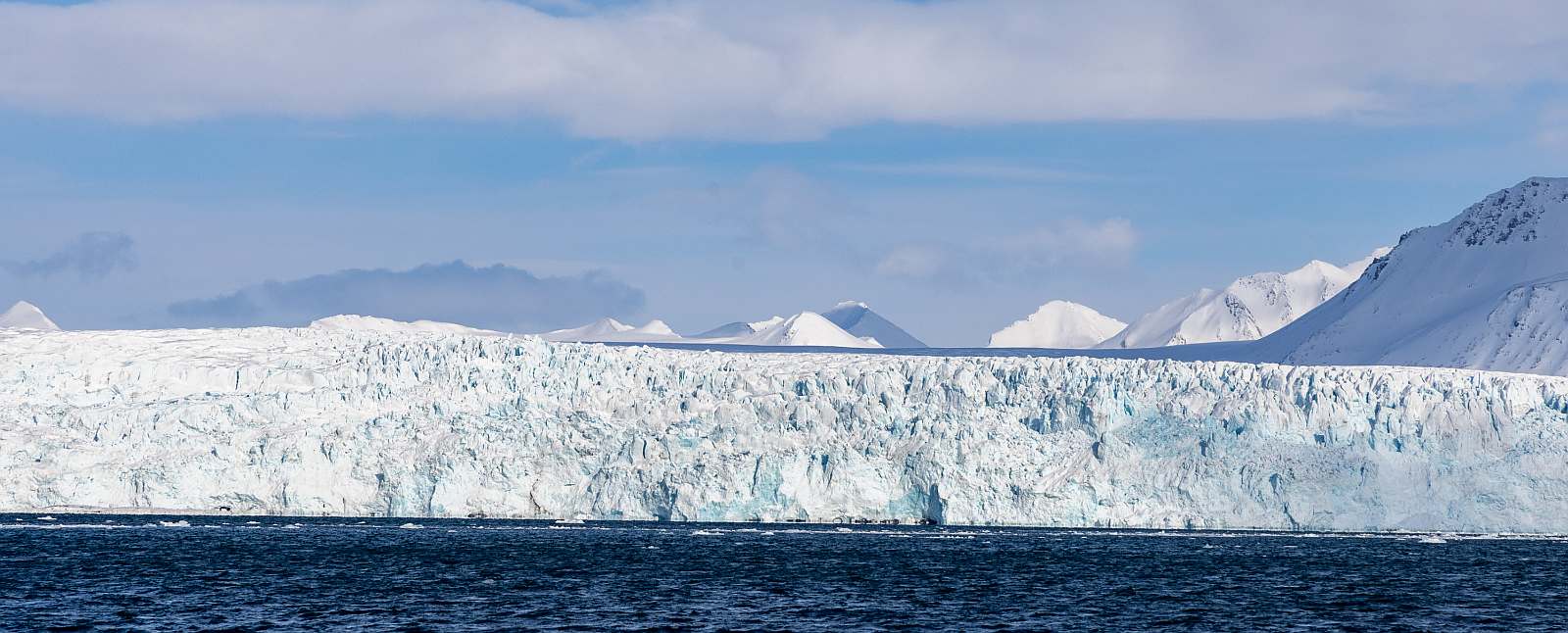 MS EXPEDITION | Abenteuer XXL im Reich der Eisbären - Leguan Reisen