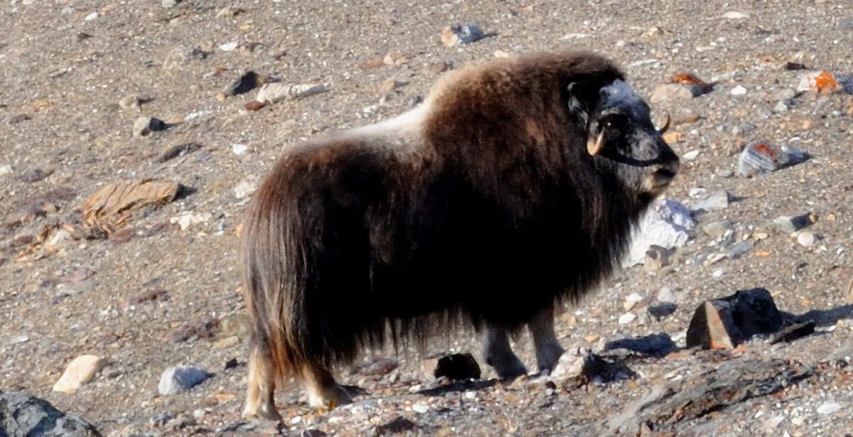 EXP_Dingler_bloomster 019 voraus schauend k_teaser1