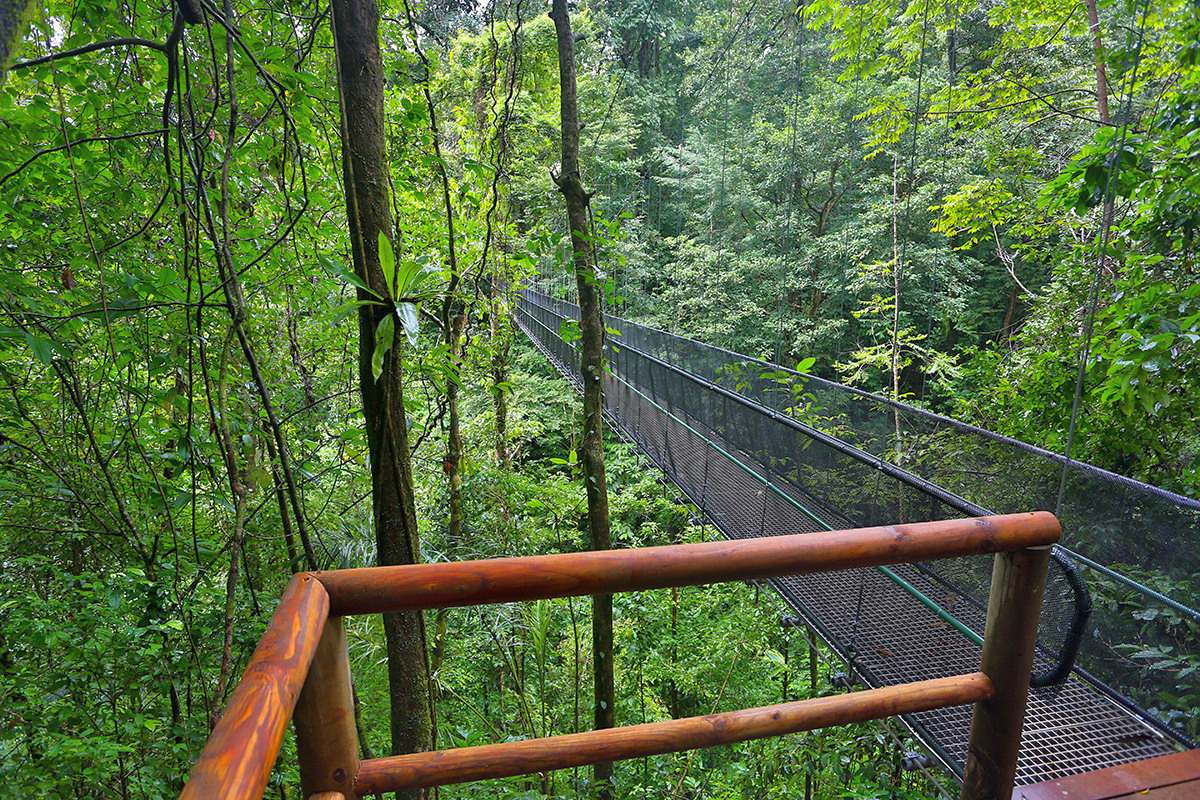Costa-Rica-El-Remanso-HangingBridge-AraTours