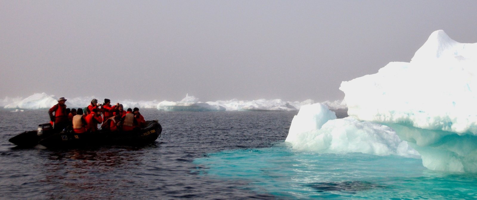 MS EXPEDITION | Höhepunkte der Arktis - Von Island über Ostgrönland nach Spitzbergen - Leguan Reisen