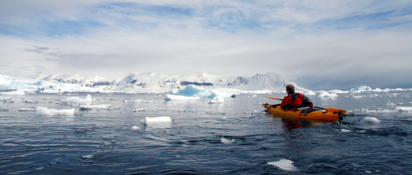 MS EXPEDITION | Klassische Antarktis-Expedition - Zu den Südshetlandinseln und der Antarktischen Halbinsel - Leguan Reisen