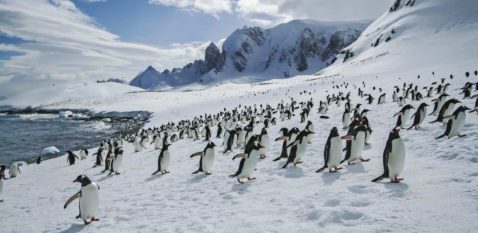 EXP_GAdventures-Antarctica-2010-IMG9178_teaser2