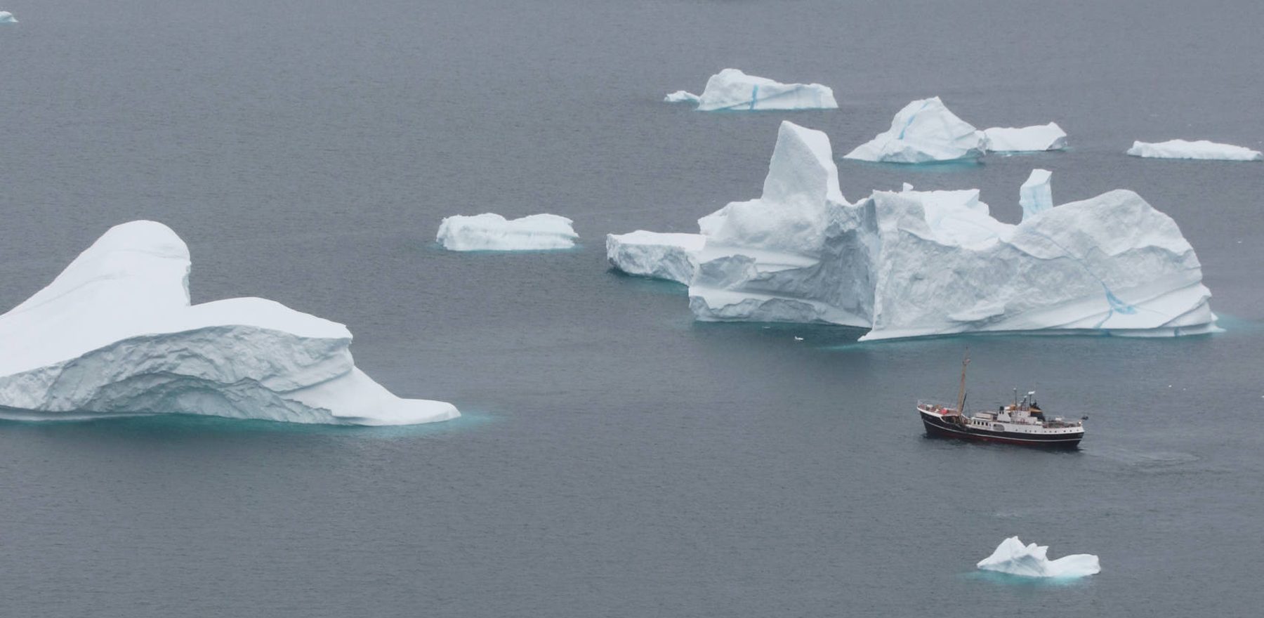 VON DEN EISBERGEN ZU DEN GROSSEN GLETSCHERN | CAPE RACE, 2027 - Leguan Reisen