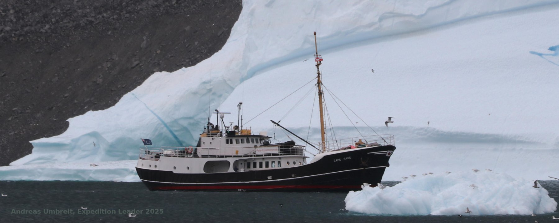VON DEN EISBERGEN ZU DEN GROSSEN GLETSCHERN | CAPE RACE, 2027 - Leguan Reisen