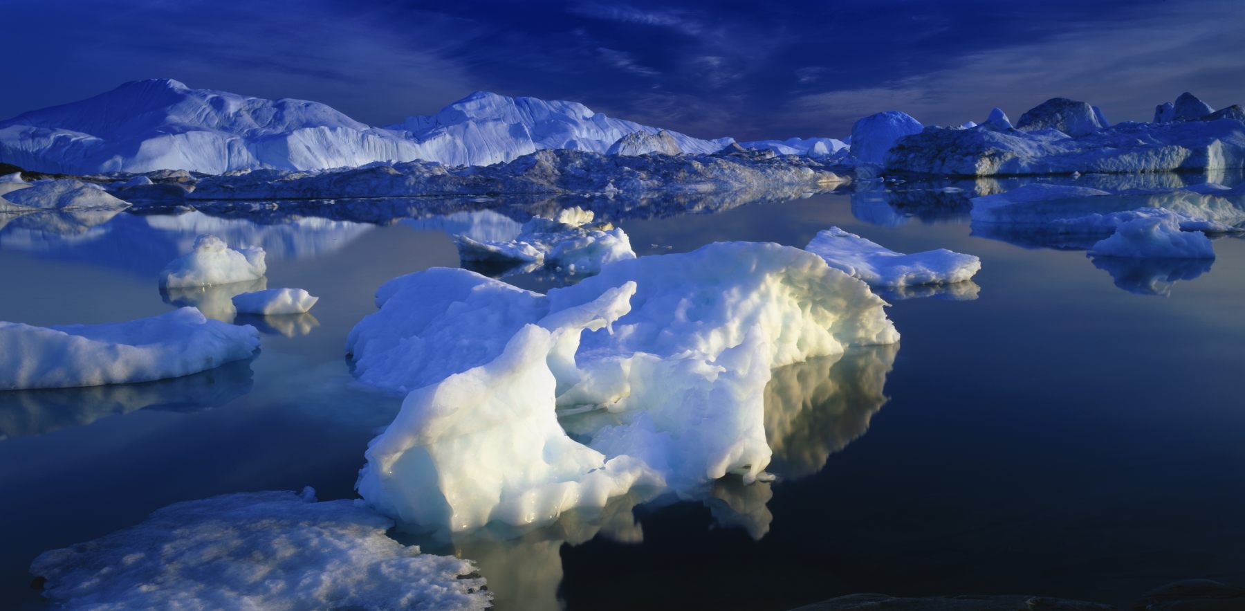 VON DEN EISBERGEN ZU DEN GROSSEN GLETSCHERN | CAPE RACE, 2027 - Leguan Reisen