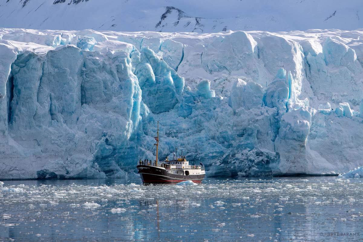 VON DEN EISBERGEN ZU DEN GROSSEN GLETSCHERN | CAPE RACE, 2027 - Leguan Reisen