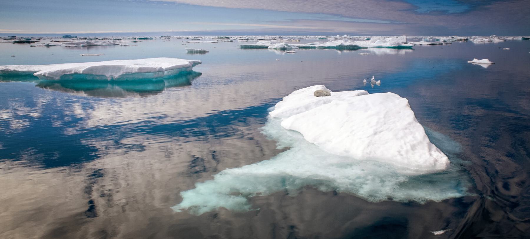 ULTIMATIVES WESTGRÖNLAND TOUR 1: UPERNAVIK - QAANAAQ | CAPE RACE, 2027 - Leguan Reisen
