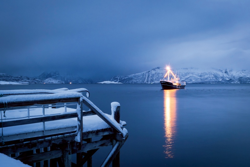 WEIHNACHTEN IM ZAUBER DER NORDLICHTER | CAPE RACE 2027 - Leguan Reisen