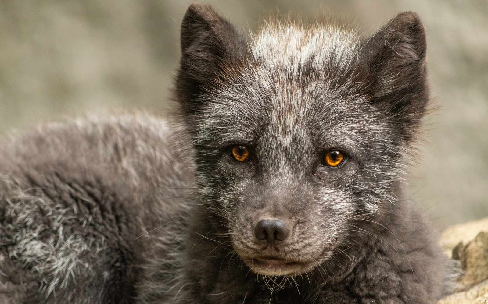 Mit dem Solarsegler \