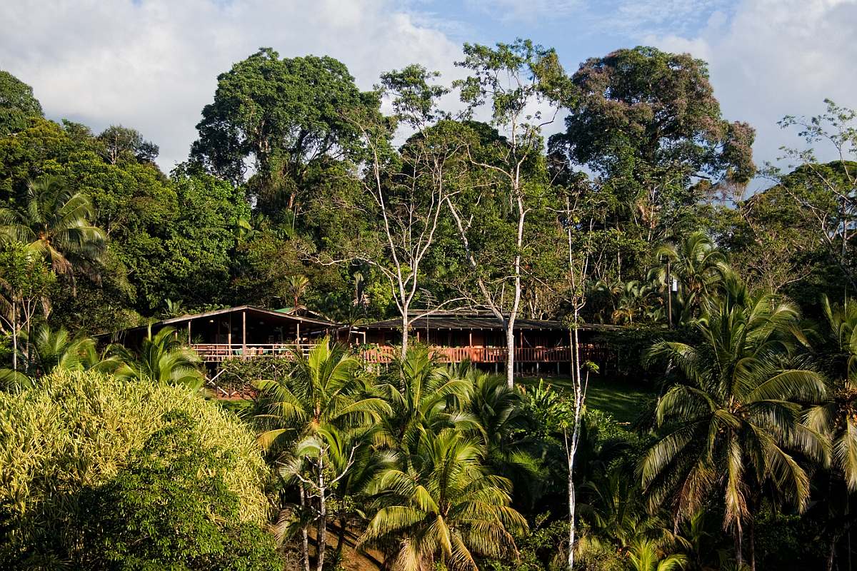 Costa-Rica-Hotels-Laguna del Lagarto Lodge-Laguna Del Lagarto Lodge View Forest Restaurant-Ara-Tours