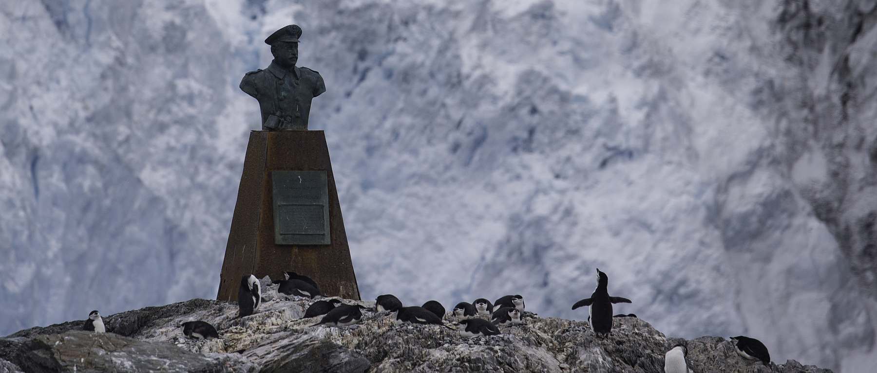 Im Reich der Pinguine: Falkland, Südgeorgien, Elephant Island & Antarktis | HONDIUS - Polar