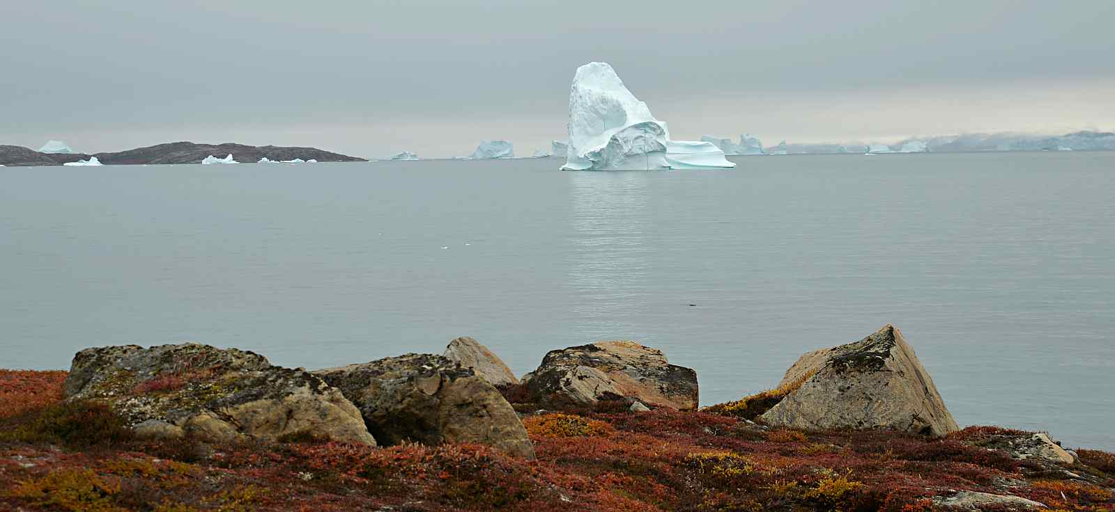 Expedition in den Scoresby Sund, inklusive langer Wanderungen | ORTELIUS - Polar