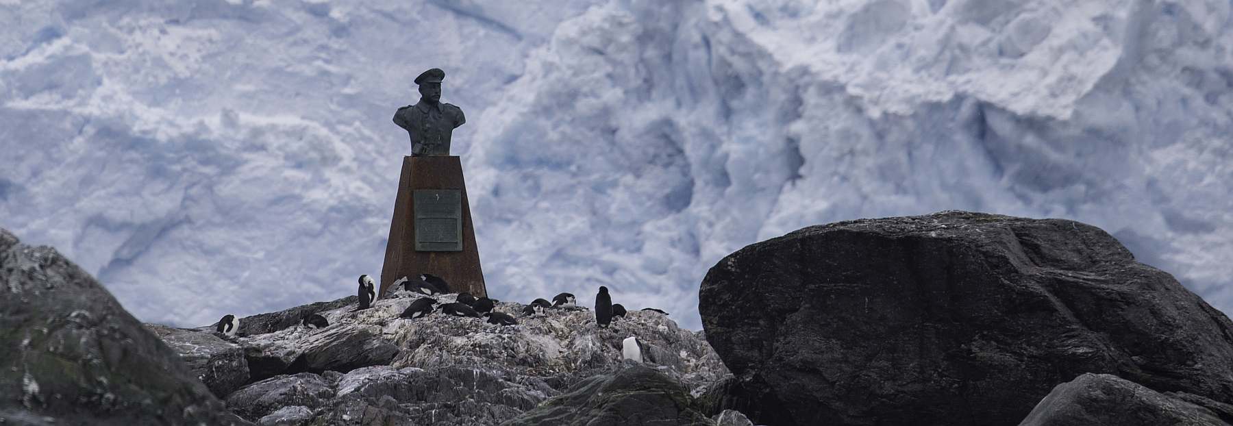 Von Südgeorgien bis Neuschwabenland: Das ultimative Antarktis-Abenteuer | ORTELIUS - Polar