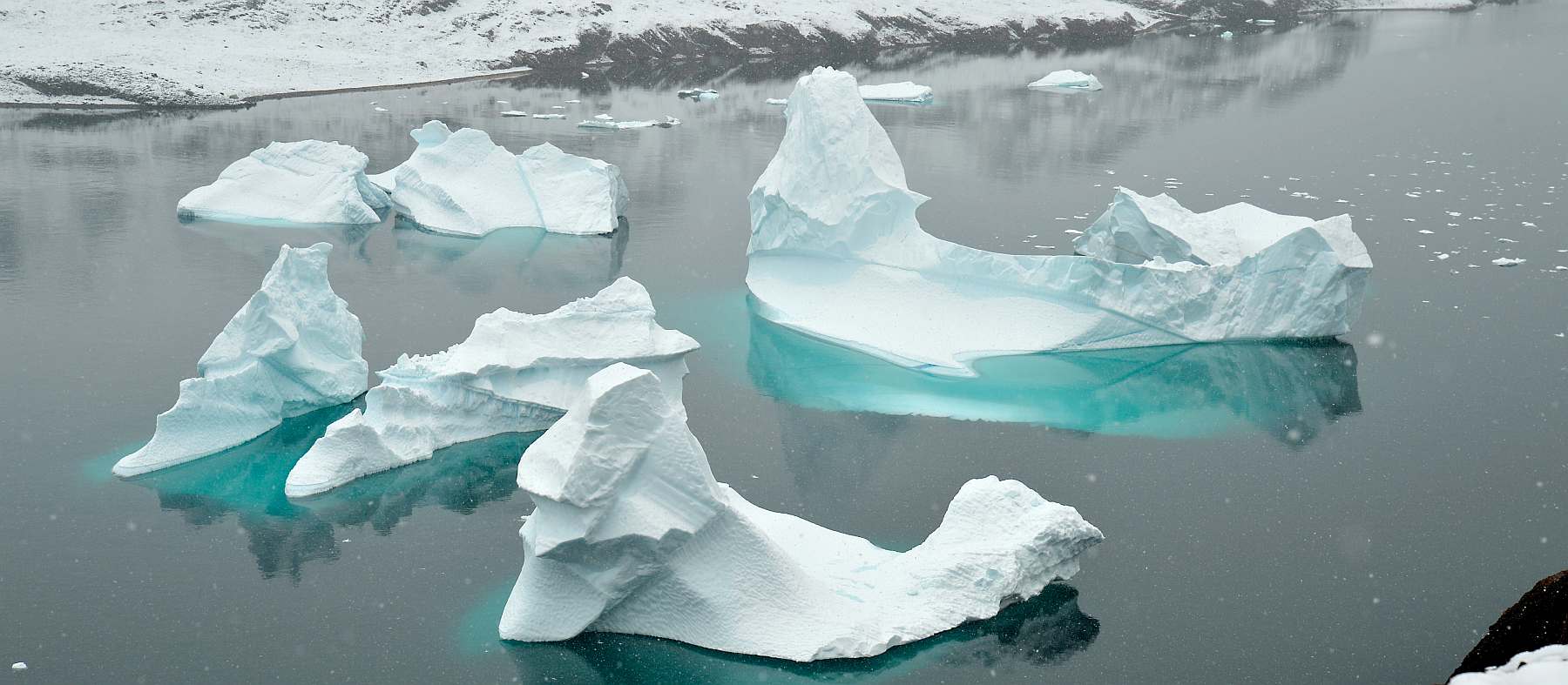 Grönlands Unberührte Küsten: Eine Reise ins Herz des Scoresby Sunds | PLANCIUS - Polar