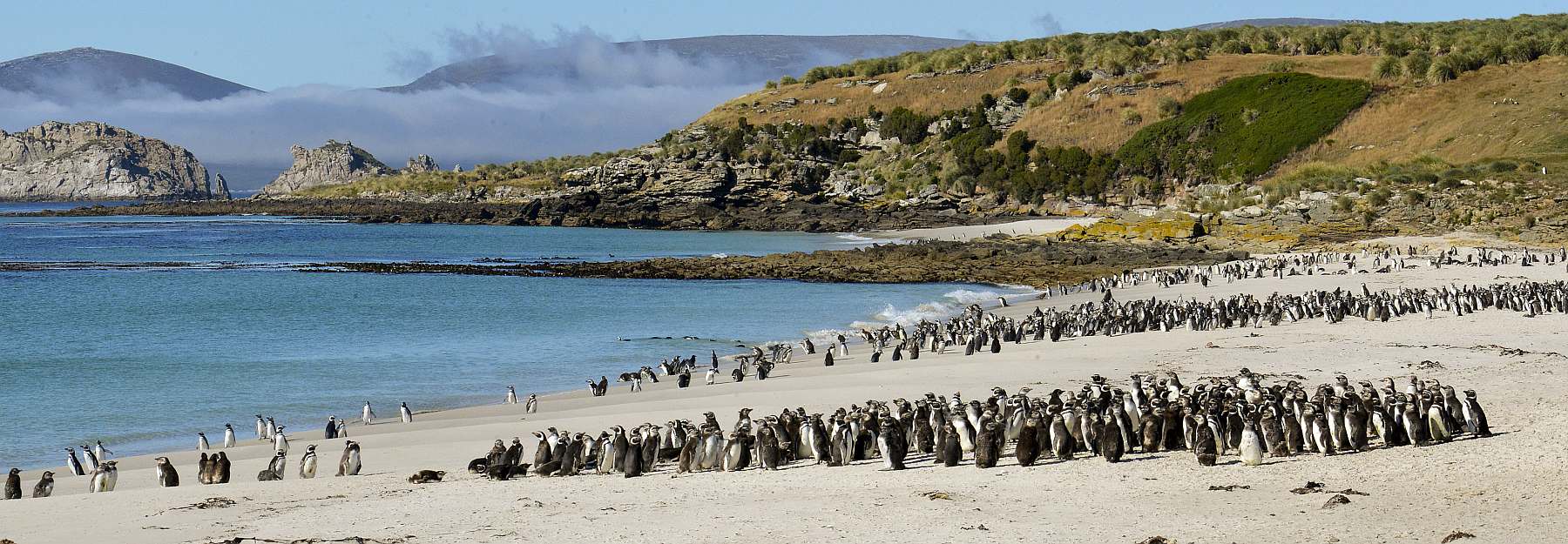 Abenteuer am Ende der Welt: Falklandinseln, Südgeorgien und Antarktis | PLANCIUS - Polar