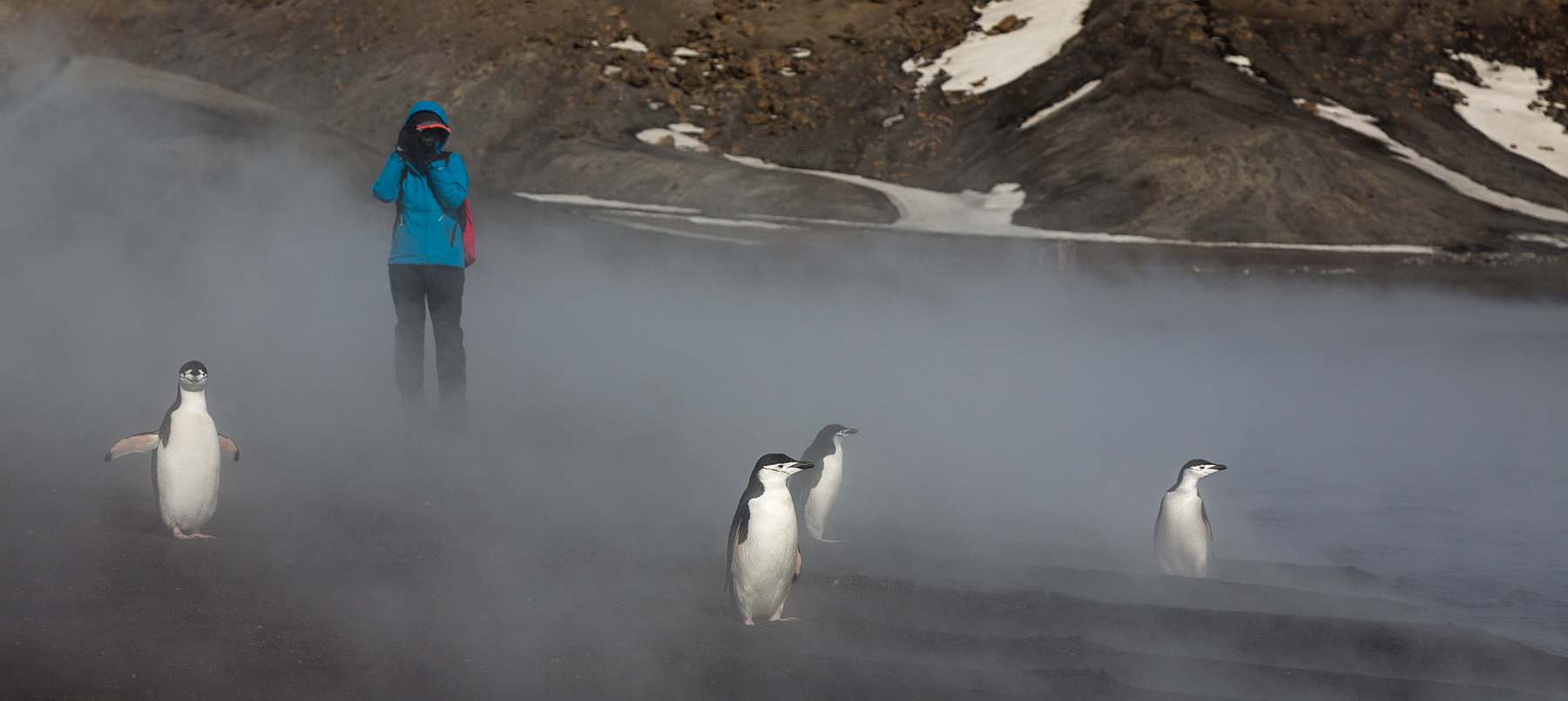 Antarktis-Expedition: Entdecken & Erleben - Eine Reise ans Ende der Welt | PLANCIUS - Polar
