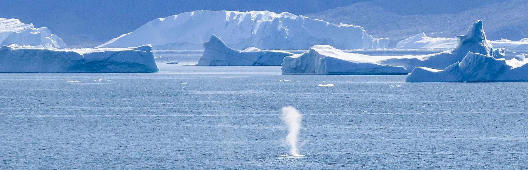Eiswelten der Disko-Bucht und Uummannaq | OCEAN ALBATROS - Polar