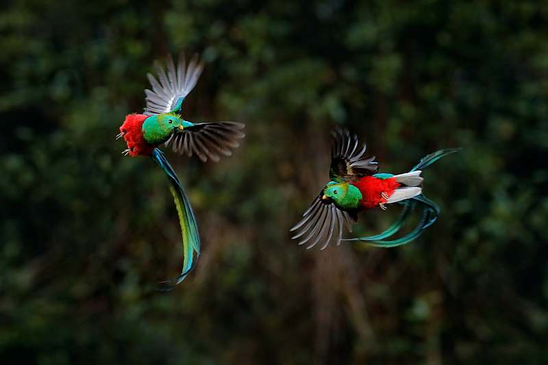 Costa Rica \