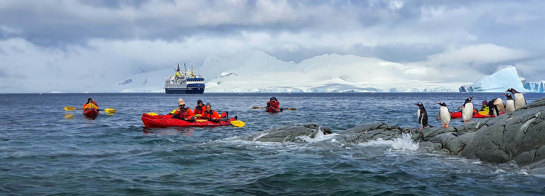 Antarktisreise mit Flug über die Drake Passage und der OCEAN NOVA - Polar