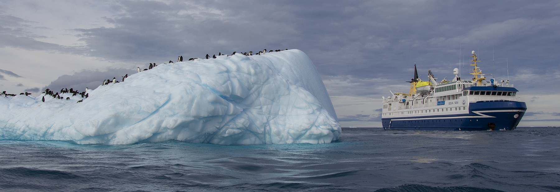 Antarktisreise mit Flug über die Drake Passage und der OCEAN NOVA - Polar