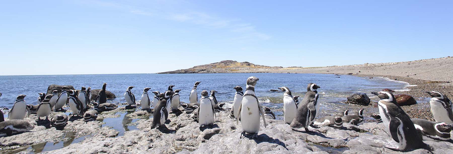 Sonderreise Patagonien | 19 Tage Gruppenreise - Polar