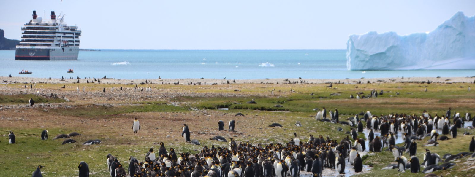 Südgeorgien intensiv - Tierwelt, Geschichte und Gletscherwelten - Polar