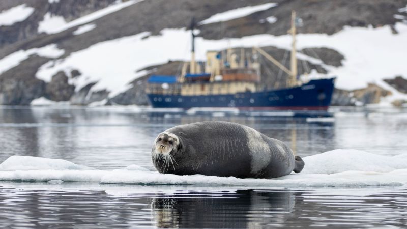 STOCKHOLM | Abenteuer Spitzbergen - Polar