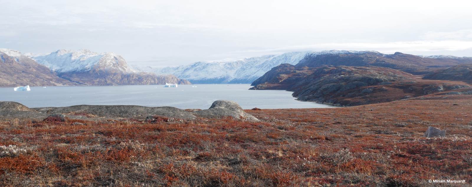 SV REMBRANDT VAN RIJN | Ostgrönland - Scoresby Sund & Aurora Borealis - Fly & Sail - Polar