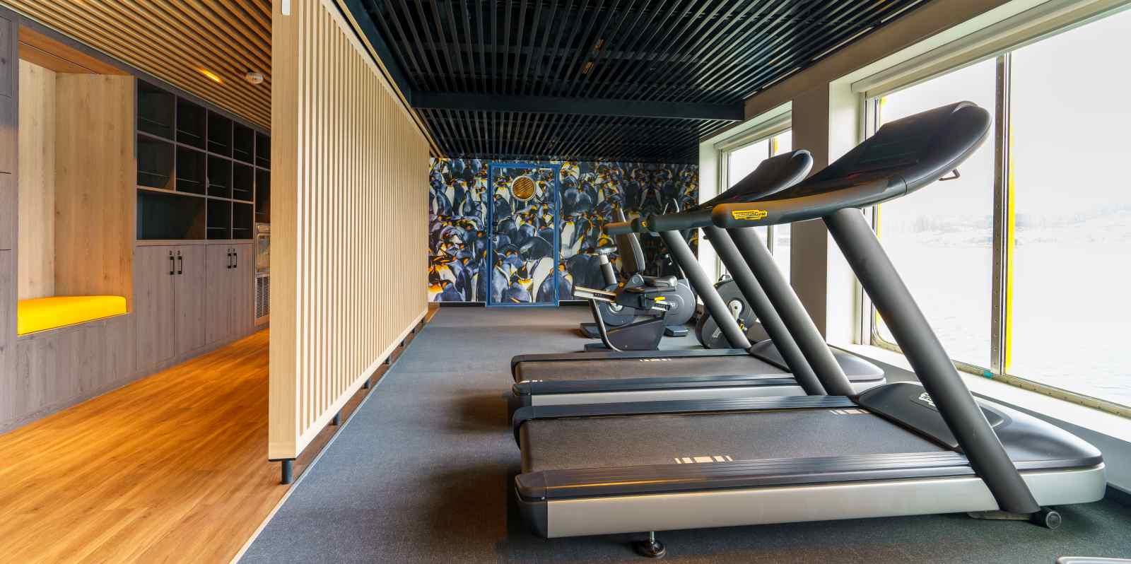 MS ULTRAMARINE | Große Antarktis-Expedition - Falklandinseln, Südgeorgien & Überquerung des südlichen Polarkreises - Polar