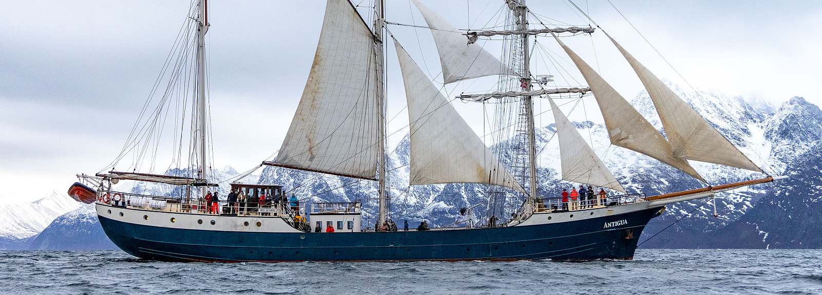 Wale im Zauber der Nordlichter | ANTIGUA - Polar